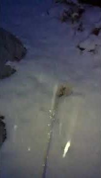 Peeing in the snow