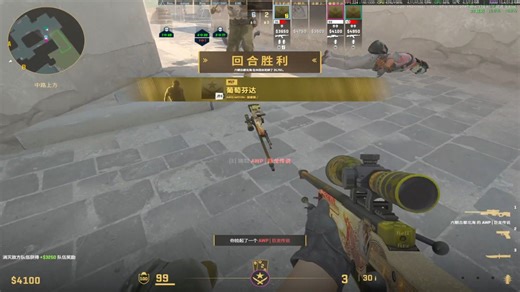 0101晚Dust2五排花生保级OKOKOK