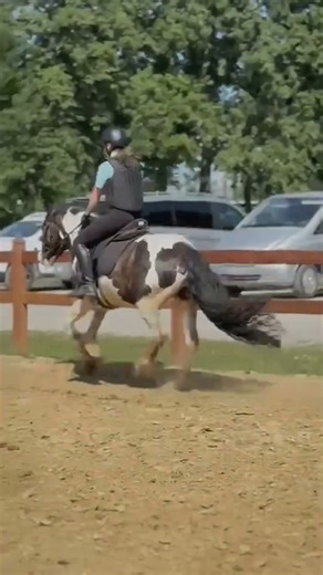 #horse #equestrianjourney #equestrian #pony #populair #horseriding #viralshort #edit #jumping