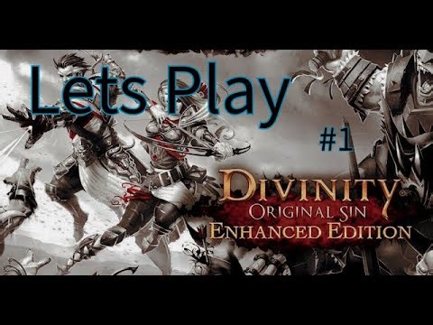 Divinity: Original Sin (First Playthrough #1)