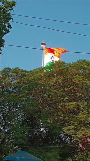 Patton Ke Beech Lahrata Tiranga 🇮🇳 | Basanti Jazbaat | #India #Shorts #PremiumVlog #youtubeshorts