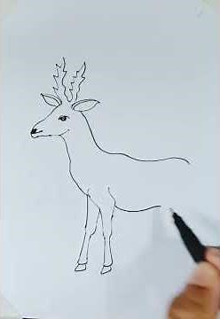 #deer #drawing #art #animal