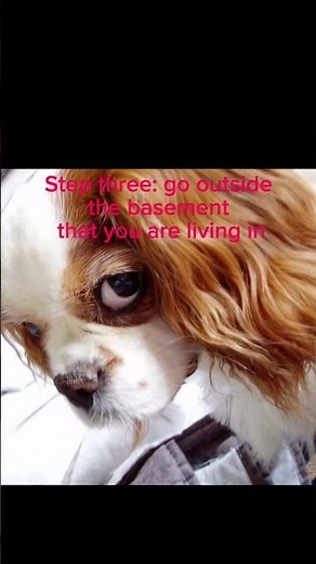 How to touch grass tutorial (100% true)