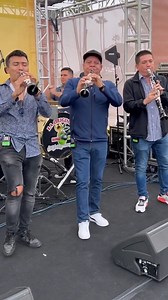 Arriba Pichátaro · La Original Banda El Limón | Música Tradicional Sinaloense