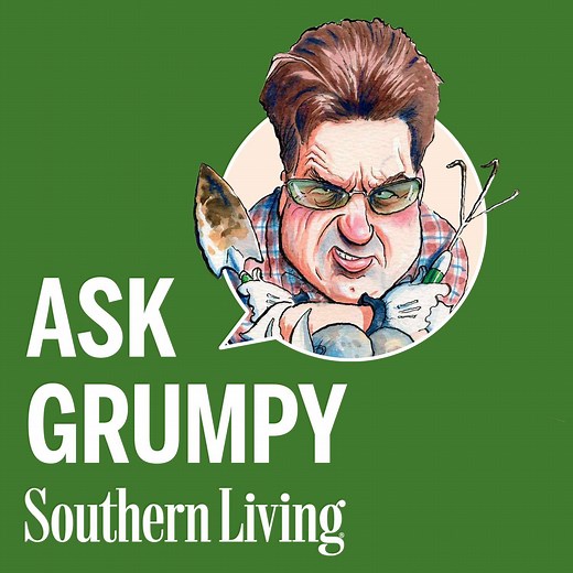 Good News For Grumpy Gardener Fans: The New “Ask Grumpy” Podcast Launches Next Week