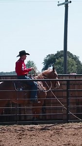 3K reactions · 10 comments | 혿홤 홮홤홪 홝홖홫홚 홖 홝홤홧홨홚 황홝홖황 홙홧홞홛황홨 홤홧 홡홤홨홚홨 홛홤환홪홨 홙홤홬홣 황홝홚 홡홞홣홚? Logan Harkey breaks down an exercise to keep your calf horse locked in in his newest tie-down roping session—now on Roping.com!  Link in bio. | Roping.com | Facebook