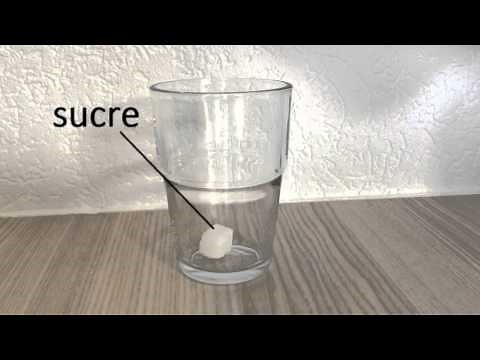 Expérience simple de solubilite du sucre dans l'eau