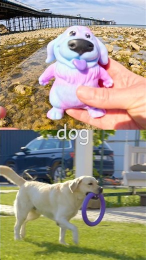 Learn by the Pier | Animal Names for Kids: Dog Rooster Pig Hippo Cow