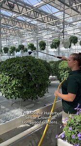 48K views · 1.4K reactions | Maybe you’ve noticed our penchant for...