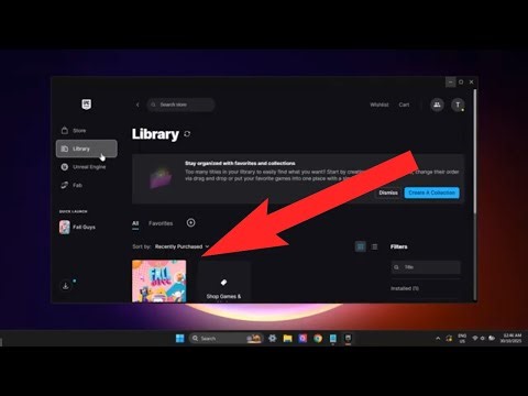 How to Fix Fall Guys Not Opening on Windows (Easy Steps)