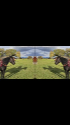 was macht man nicht alles fürs pferd den geliebten Westernsattel gegen Dressursattel tauschen. leider sind die Westernsättel zu weit nach vorne gebaut das sie immer auf der Schulter liegen und Sioux kann damit nicht frei laufen. der Dressursattel liegt hinter der Schulter so kann sie frei laufen und fühlt sich wohler. jetzt weiß ich auch wo ihr lahmen her kommt seit 2 Jahren war sie immer mal wider lahm und keiner wußte so genau woher haben alles ausprobiert aber das es einfach am Sattel lag hat