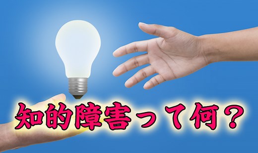知的障害とは何だろう？教員が原因や症状をわかりやすく説明します！ | WelSearch ウェルサーチ｜福祉の専門家や当事者たちが発信する福祉情報サイト