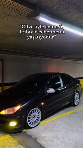 #34gas258 #206sedan #waterfall #fyppppppppppppppppppppppp #k #djfatos #peugeot206