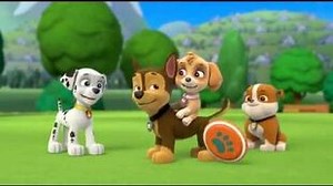 A Love Story - Chase & Skye Tribute