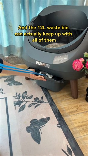 Two cats? Three? No problem 😌🐾 The CATLINK Open-X keeps up with multi-cat households by cleaning automatically after every use, reducing odours, and maintaining a fresh litter space all day long. Because one litter box should work smarter—for all your cats. #CATLINKOpenX #MultiCatHousehold #CatLife #SmartPetCare #PetTech | Catlinks AU