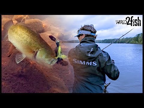 The Best Rod for ChatterBaits | Fiberglass vs. Graphite