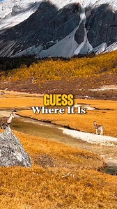 9.4M views · 261K reactions | The moment you thought it was leaving alone… 歷⛰️ It jumps across the river, then turns back to the herd. In the autumn mountains of Western Sichuan, life keeps its perfect rhythm! Cr. Douyin@章飞 #Sichuan #DaochengYading #widelife #autumnvibe #AnimazingChina | 華夏focus | Facebook