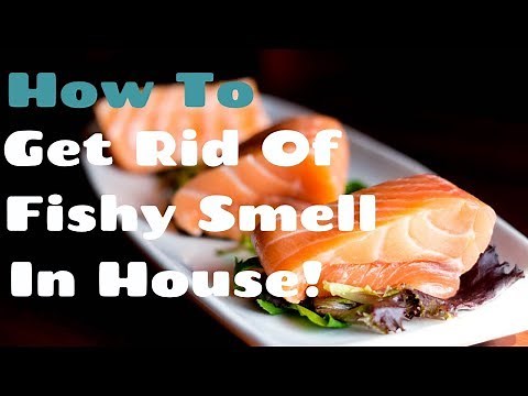How To Get Rid Of Fishy Smell In House - Say Goodbye To Fish Oder