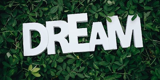 50 Follow Your Dreams Quotes to Push You to Greatness