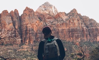 Project x love potion disaster save files