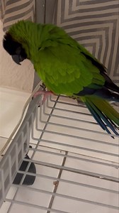 1.7K views · 215 reactions | We need a name for this baby please ...