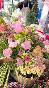 🌸 BLACK FRIDAY SPECIALS 🌸 ON NOW at ALL our SHOPS until Sunday! 💗 PEONIES SPECIAL ✨ 5-stem bunches ONLY R140 (Save big on our most-loved blooms!) 🌸Online MAGNOLIA trees 70% discounts 🌸FARM SEASONALS – BUY 1 GET 1 FREE R80 for 2 bunches Valid on selected varieties: • Dill • Nigella • Ammi • Yarrow • Godetia • Agrostemma 💕DAHLIA TUBERS – 50% OFF! Only R65 per packet Available in-store only. 🛒 Visit any of our Adene’s Farm Flowers shops – open 7 days a week: (Val de Vie closed Sundays) ⸻ GAU