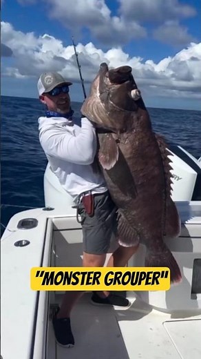 Grouper Fishing Techniques ✅