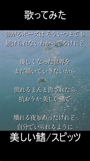 美しい鰭 #歌ってみた #透明感 #スピッツ