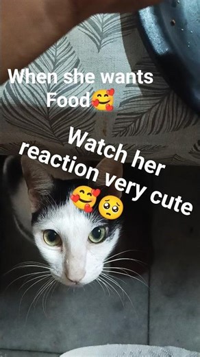 My Little Family 😁 #shorts #youtubeshorts #remix #newsong #blog #tranding #family #2025