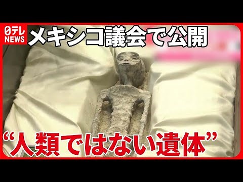 【宇宙人？】メキシコ議会で“人類ではない遺体”を公開 「UFO」について議論交わす