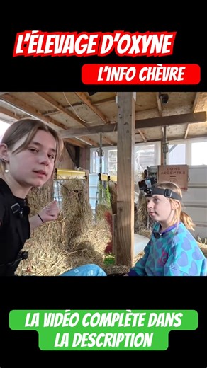 Goat info #lelevagedoxyne #goat #bebechevre #babygoats #elevage #agri #shortvideo