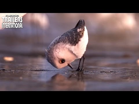 Procurando Dory | Clipe 'Curta Piper' [animação da Disney] HD