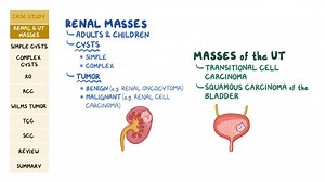 Video: Renal and urinary tract masses: Pathology review - Video Explanation! | Osmosis | Osmosis