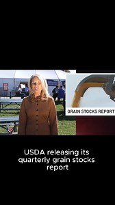 24K views · 86 reactions | The USDA released its quarterly grain stocks report earlier this week. #Farm #ag | U.S. Farm Report | Facebook
