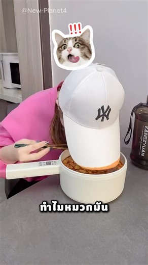 แม่ หมวกลงไปในอาหารแล้วนะ