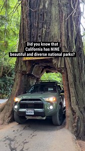 California has more national parks than any other state, and they are as diverse as they are beautiful! Explore Lassen Volcanic’s thermal features and climb the largest plug dome volcano in the world, walk through the tallest trees on Earth in Redwood, look for condors as you hike the high peaks of Pinnacles, and gaze at the world famous waterfalls in Yosemite. Then take a drive into spectacular Kings Canyon, check out the largest trees by volume in Sequoia, visit the lowest and hottest park in 