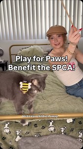 20K views · 766 reactions | Do a good deed a day with Solitaire Clash! Their new Play for Paws event in game benefits the SPCA! And you know I love the animals凉勺 #PlayForPaws #SolitaireClash #Avia #AviaGames #avia9thanniversary | Em August Comedy | Facebook