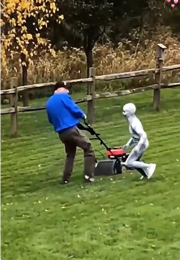 Hilarious Prank Reactions That Will Make You Laugh