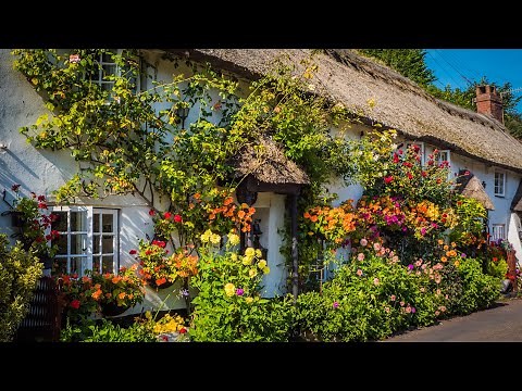 Peaceful Music, Relaxing Music, Instrumental Music "Summer Cottage by Tim Janis