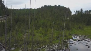 Aerial View Elbow Lake Near Harrison Stock Footage Video (100% Royalty-free) 29820193 | Shutterstock