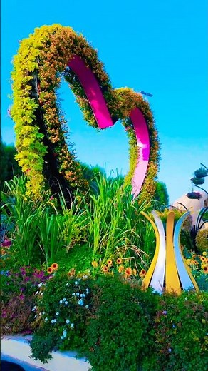 🌈💖 One of the Most Beautiful Places on Earth | Dubai Miracle Garden 4K Walk #dubai #miraclegarden