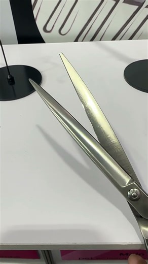 Curved Dog Scissors: Must-Have Tool for Groomers & At-Home Pet Parents!✨🐕‍🦺 #dog #doggroominglife