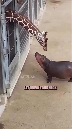 🗣 Mashup 68+1 featuring Danielle Threet (TikTok), #shorts