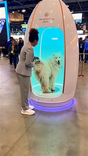 Dubai’s AI Pet Grooming Pod Is From the Future! 🤖🐾💈 #shorts