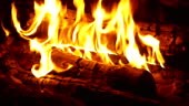 Api Unggun Menyala di Malam Hari di Hutan