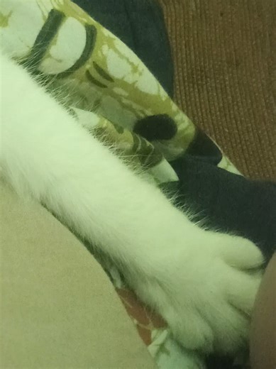 ada yg bisa jelasin ini kode apa? ribet bgt pake toel