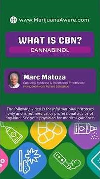 CBN Explained: The Sleep-Linked Cannabinoid 🌿