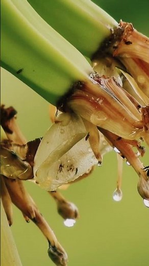 💠DNA: The Code of Life🧬※