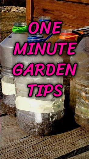 Free Greenhouse Hack Using Plastic Bottles #gardening #seedstarting #diy