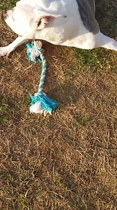 She may not walk as fast these days, but she certainly hasn't lost her spirit or ability to hold onto this toy while I spin her around. If I don't spin her, she'll latch onto my ankles until I do what she says, lol. True Story! | Everything Emma & Family